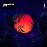 DAVID GUETTA SIA - Flames