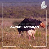 Alper Karacan - Ignorance