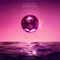 Cannons - Purple Sun