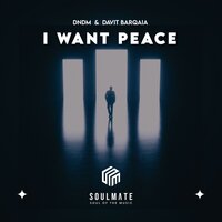 Davit Barqaia & DNDM - I Want Peace