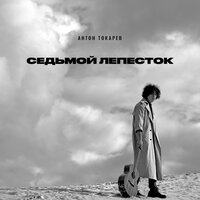 Антон Токарев - Седьмой Лепесток (Dj Safiter Remix)