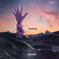 Dj Gamid - For A Feeling