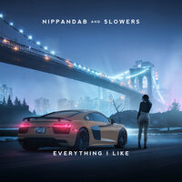 Nippandab & 5lowers - Everything I Like