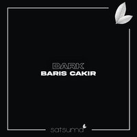 Baris Cakir - Dark Light