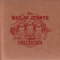 The Wailin' Jennys - Long Time Traveller