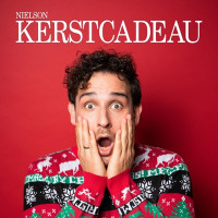 Nielson - Kerstcadeau