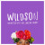 Wildson - I Am Better Off (feat. LaKesha Nugent)