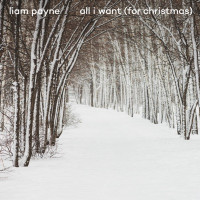 Liam Payne - All I Want (For Christmas)