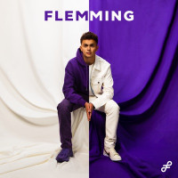 FLEMMING - Automatisch