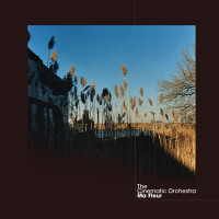 The Cinematic Orchestra - To Build a Home (feat. Patrick Watson)