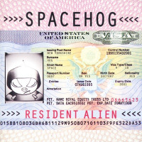 Spacehog - In the Meantime