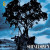 Shinedown - Simple Man (Acoustic Version)
