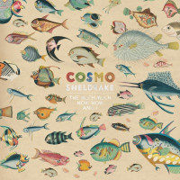 Cosmo Sheldrake - Come Along