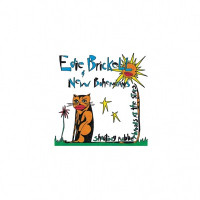 Edie Brickell & New Bohemians - What I Am