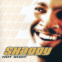 Shaggy - It Wasn't Me (feat. Ricardo Ducent)