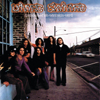 Lynyrd Skynyrd - Tuesday's Gone