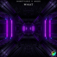 Rnbstylerz & Arees - What