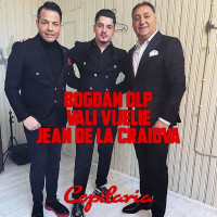 Bogdan DLP, Vali Vijelie & Jean De La Craiova - Copilaria