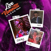 CKay - love nwantiti (feat. Axel & Dj Yo!) [Remix]