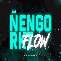 Luty DJ - Ñengo Flow RKT