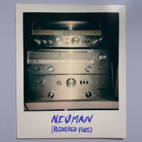 Neuman - Recovered Files