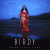 Birdy - Save Yourself