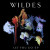 WILDES - Let You Go