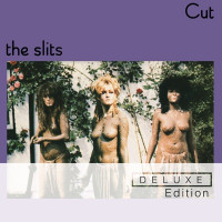 The Slits - I Heard It Through the Grapevine (Rough Mix)