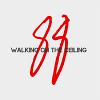 Class of 88 - Walking on the Ceiling