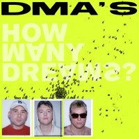 DMA'S - Fading Like A Picture