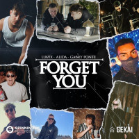 LUM!X, Alida & Gabry Ponte - Forget You