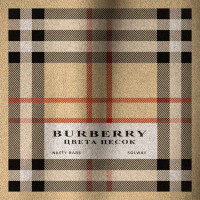 Nasty Babe & Solway - Burberry цвета песок