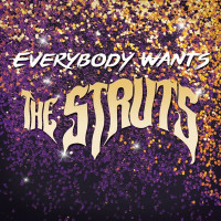 The Struts - Could Have Been Me