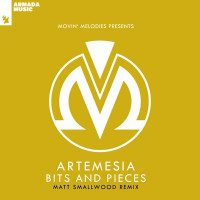 Artemesia & Patrick Prins - Bits and Pieces (Matt Smallwood Remix)