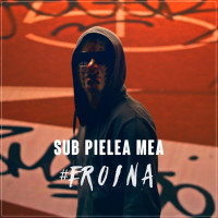 Carla's Dreams - Sub pielea mea (Midi Culture Remix)
