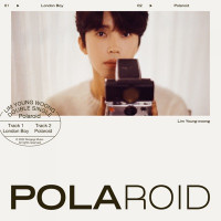 Lim Young Woong - Polaroid