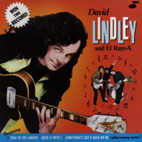 David Lindley - Turning Point