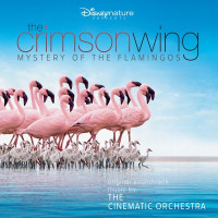 The Cinematic Orchestra & The London Metropolitan Orchestra - Arrival of the Birds