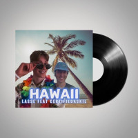 Lassesaelevik - Hawaii