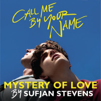 Sufjan Stevens - Mystery of Love (From “Call Me By Your Name”)