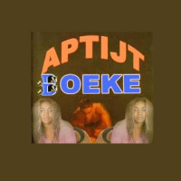 Aptijt - Boeke(Radio Version) [feat. DJ Sunil]