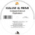 Kalwi & Remi - Explosion (Theo Remix)