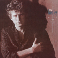 Don Henley - The Boys of Summer