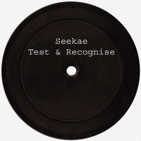 Seekae - Test & Recognise (Flume Re - Work)