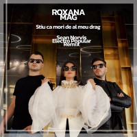Roxana Mag - Stiu ca mori de al meu drag (Sean Norvis Electro Popular Remix)