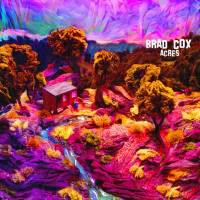 Brad Cox - Last Time Last