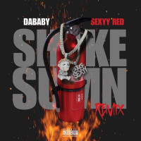DaBaby & Sexyy Red - SHAKE SUMN (REMIX)
