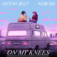 Adib Sin & Moon Jelly - On My Knees