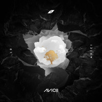 Avicii - Without You (feat. Sandro Cavazza)