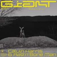 Calvin Harris, Rag’n’Bone Man - Giant
